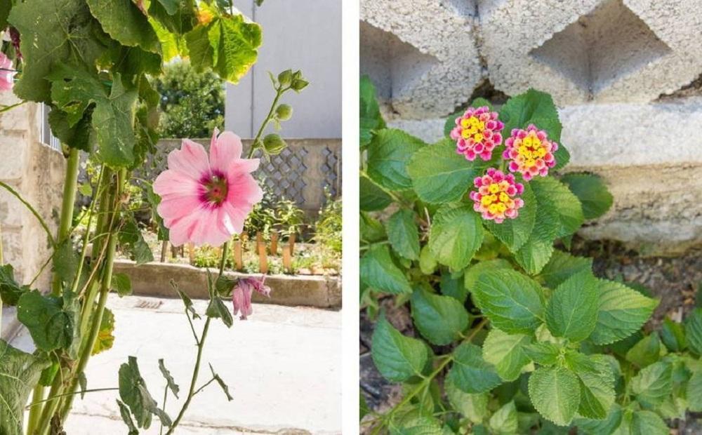 Apartments Mali Raj Vranjic エクステリア 写真