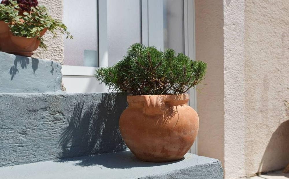 Apartments Mali Raj Vranjic エクステリア 写真